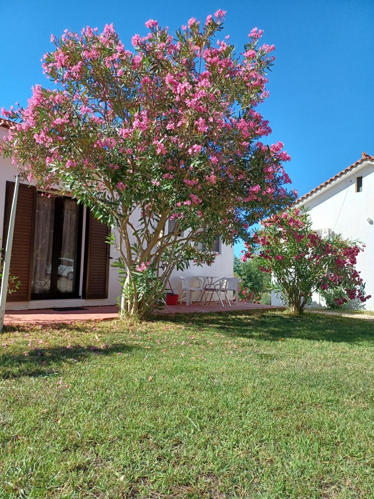Nerissa Bungalow 2, Two Bedroom House With Sea View Spartia  Exterior photo